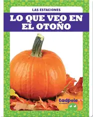 Lo que veo en el otoño (What I See in Fall)
