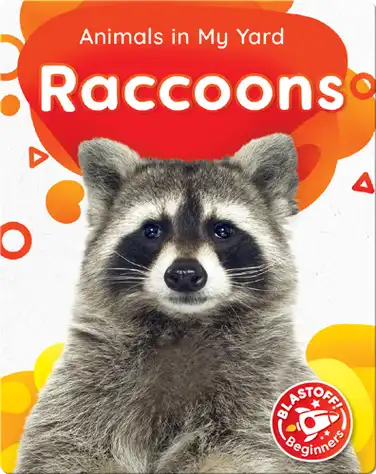 Animals in My Yard: Raccoons book