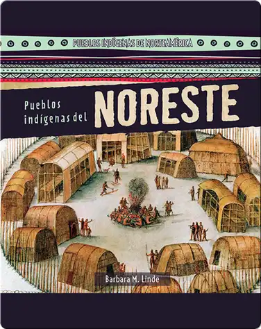 Pueblos indígenas del Noreste (Native Peoples of the Northeast) book