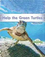 Little Activists: Help the Green Turtles