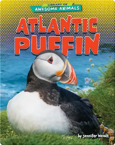 Awesome Animals: Atlantic Puffin book