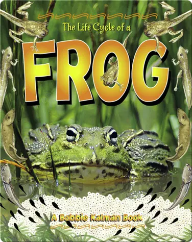 The Life Cycle of a Frog book