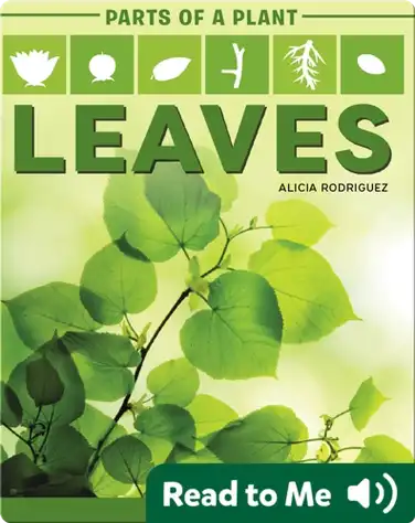 Parts of a Plant: Leaves book