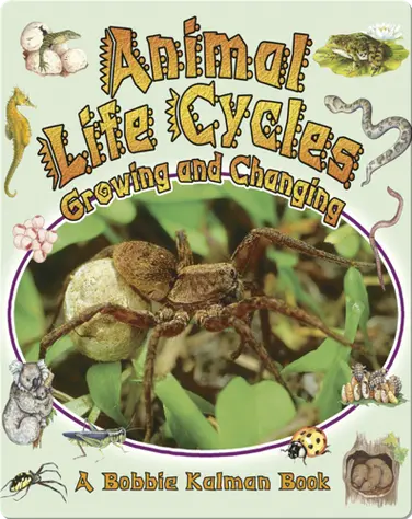 Animal Life Cycles: Growing and Changing book