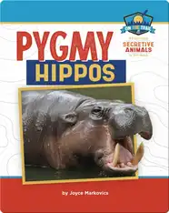 Study of Secretive Animals: Pygmy Hippos