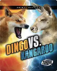 Animal Battles: Dingo vs. Kangaroo