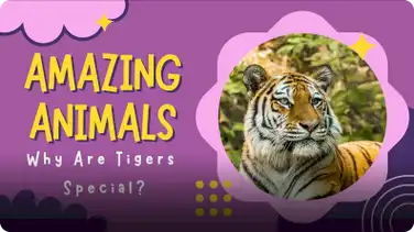 Amazing Animals: Why are Tigers Special? book