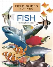 Field Guides for Kids: Fish