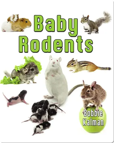 Baby Rodents book