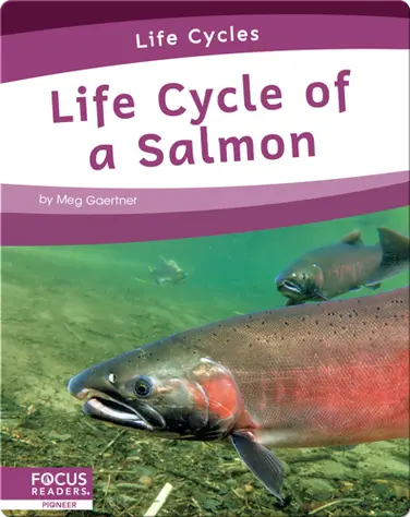 Life Cycle of a Salmon book