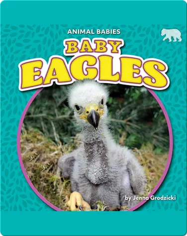 Animal Babies: Baby Eagles book