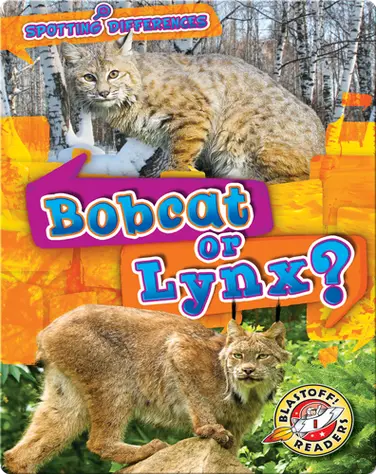 Spotting Differences: Bobcat or Lynx? book
