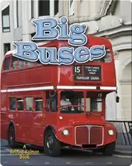 Big Buses