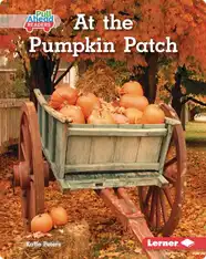 At the Pumpkin Patch