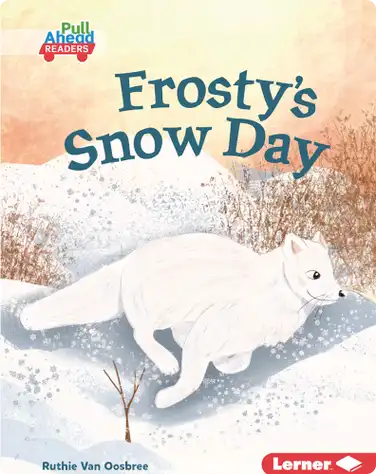 Frosty's Snow Day book