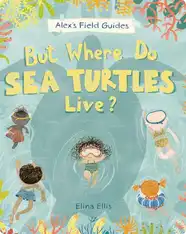 But Where Do Sea Turtles Live?