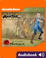 Earth Kingdom Chronicles: The Tale of Sokka