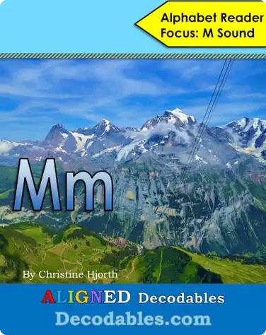 Mm Book book