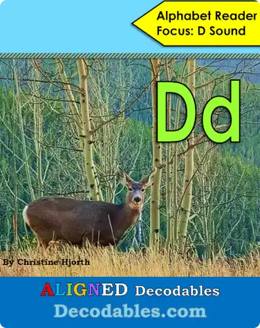 Dd Book book