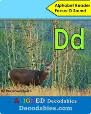 Dd Book