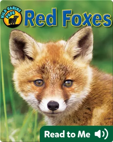 Red Foxes (Wild Canine Pups) book