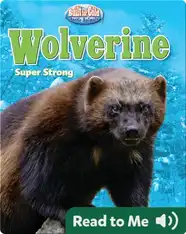 Wolverine: Super Strong