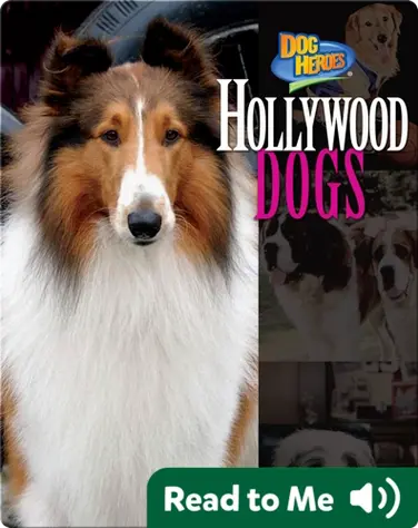 Hollywood Dogs book