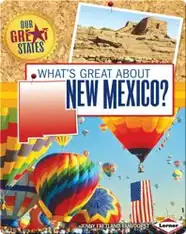 What's Great about New Mexico?