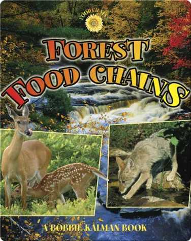 Forest Food Chains book