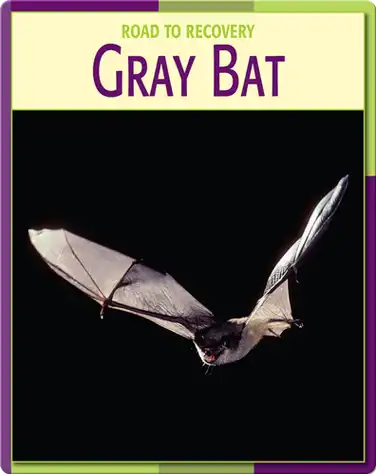 Road To Recovery: Gray Bat book