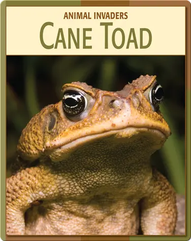 Animal Invaders: Cane Toad book