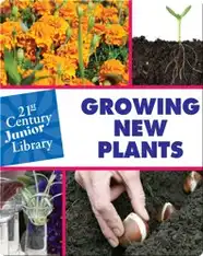 Growing New Plants