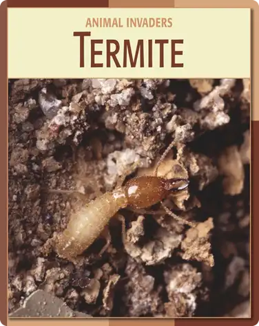 Animal Invaders: Termite book