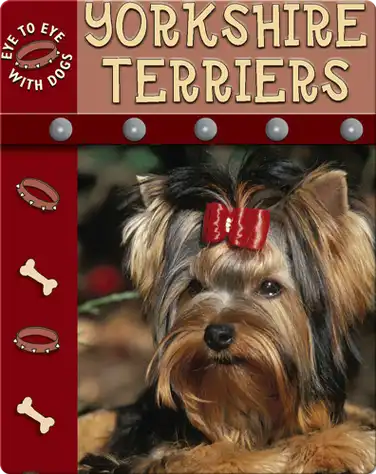Eye To Eye With Dogs: Yorkshire Terriers book