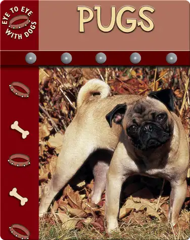 Eye To Eye With Dogs: Pugs book