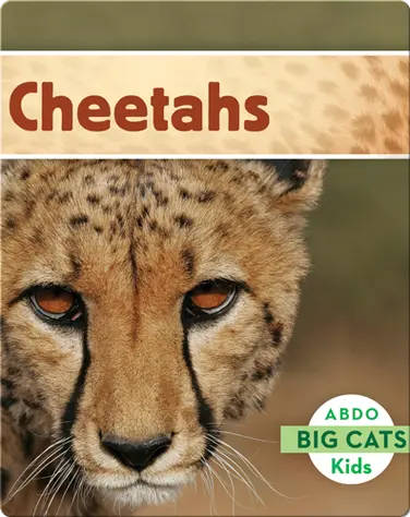 Big Cats: Cheetahs book