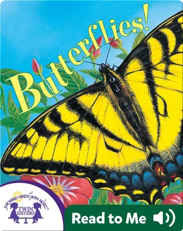 Butterflies! book