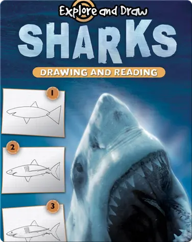 Explore And Draw: Sharks book