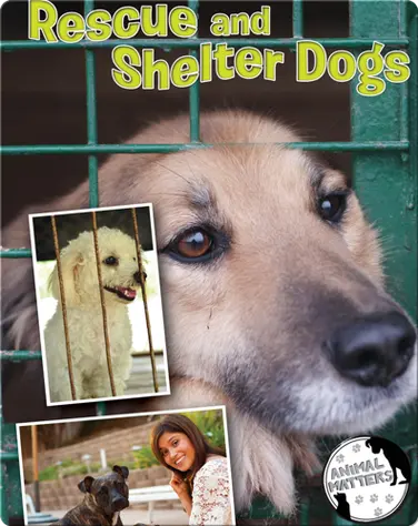 Rescue And Shelter Dogs book