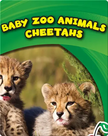 Baby Zoo Animals: Cheetahs book