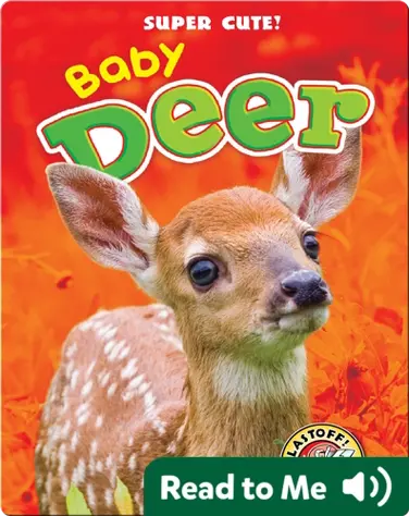 Super Cute! Baby Deer book