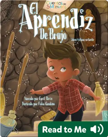El Aprendiz De Brujo book
