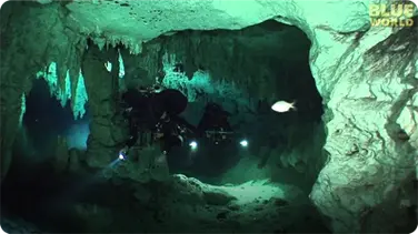 Divers Explore underwater cave system in Mexico book