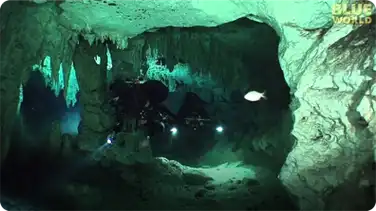 Divers Explore underwater cave system in Mexico book