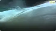 A Mysterious Underwater Cloud in a Sinkhole!