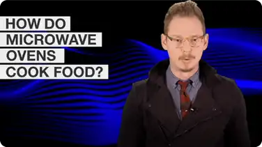 How Do Microwave Ovens Work? book