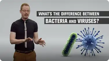 What's the Difference Between Bacteria and Viruses? book