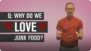 Why Do We Love Junk Food? book