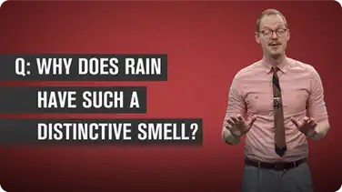 Why Does Rain Have a Distinctive Smell? book