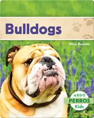 Bulldogs